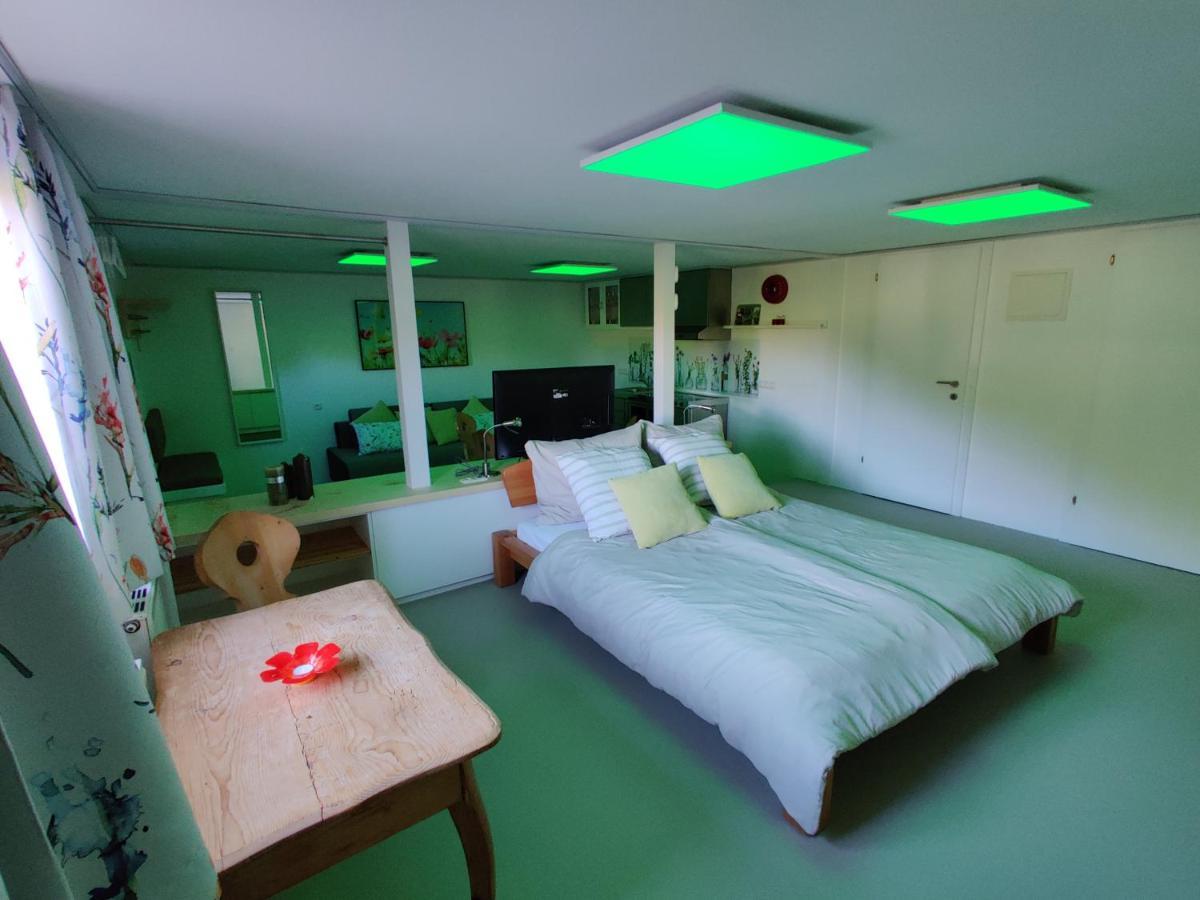 Appartements Berger Kitzbuehel מראה חיצוני תמונה
